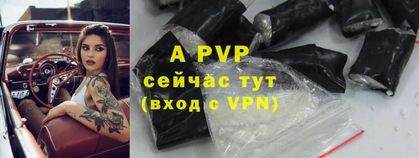 прущие крисы Беломорск