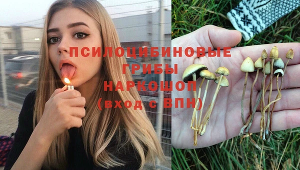 шишки Белоозёрский