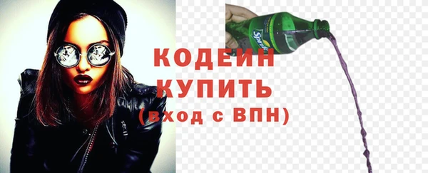 шишки Белоозёрский