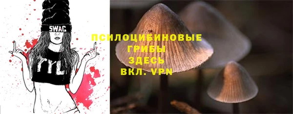 прущие крисы Беломорск
