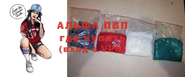 шишки Белоозёрский