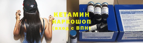 шишки Белоозёрский
