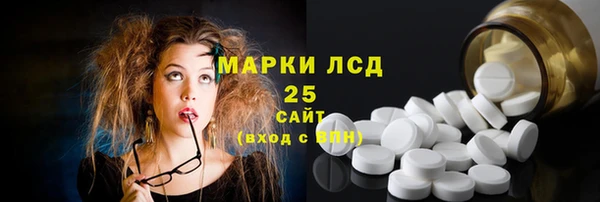 шишки Белоозёрский