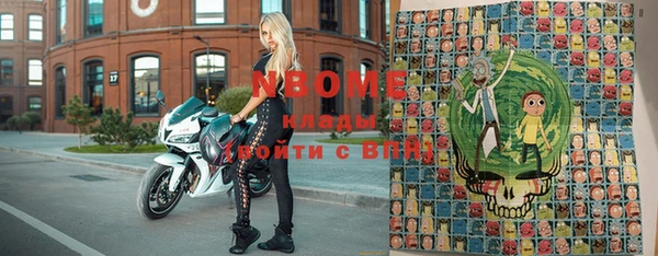 шишки Белоозёрский