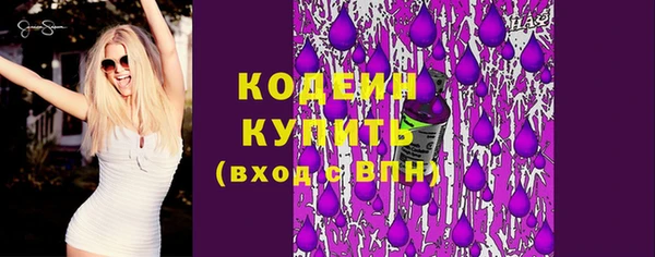 шишки Белоозёрский