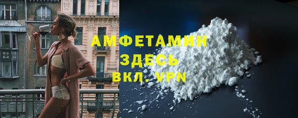 шишки Белоозёрский