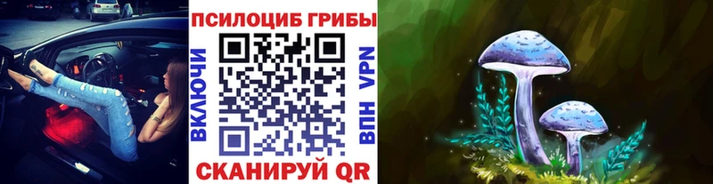 Псилоцибиновые грибы Psilocybe Сердобск